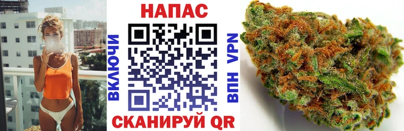 Конопля OG Kush Собинка